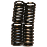 CLUTCH SPRINGS CSK115