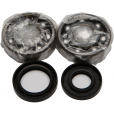 CRANKSHAFT BEARING/SEAL KIT
