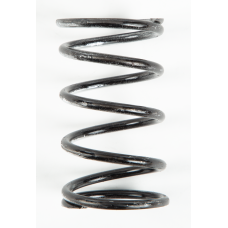 SILVER/BLACK SPRING