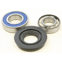 CHAIN CASE BEARING & SEAL KIT