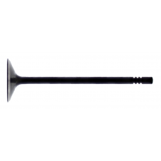 INTAKE VALVE STEEL POL
