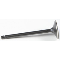 BLACK DIAMOND INTAKE VALVE