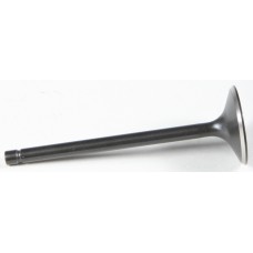 BLACK DIAMOND INTAKE VALVE