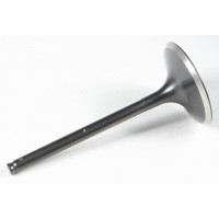 BLACK DIAMOND INTAKE VALVE