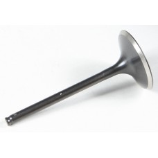 BLACK DIAMOND INTAKE VALVE BLACK DIAMOND INTAKE VALVE