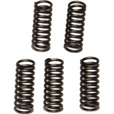 CLUTCH SPRINGS CSK97