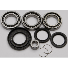 REAR DIFFERENTIAL BEARING AND SEAL KIT