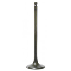 INTAKE VALVE