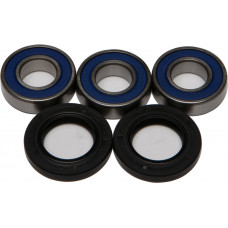 REAR WHEEL BEARING KIT