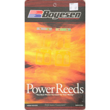 MOTORCYCLE REEDS