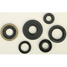 OIL SEAL SET