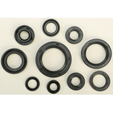 OIL SEAL SET
