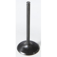 BLACK DIAMOND INTAKE VALVE