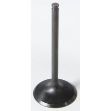 BLACK DIAMOND INTAKE VALVE