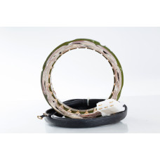 STATOR