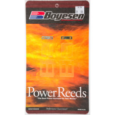 MOTORCYCLE REEDS