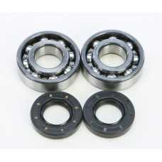 CRANKSHAFT BEARING/SEAL KIT