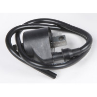 ATV IGNITION COIL