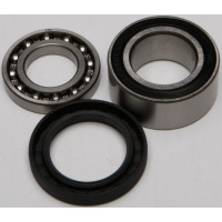 CHAIN CASE BEARING & SEAL KIT
