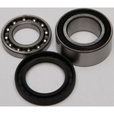 CHAIN CASE BEARING & SEAL KIT