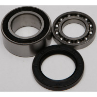 CHAIN CASE BEARING & SEAL KIT