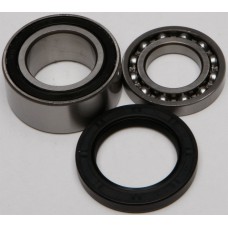 CHAIN CASE BEARING & SEAL KIT