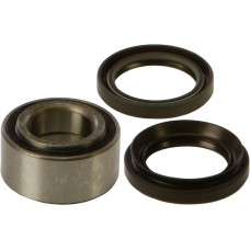 WHEEL BEARING & SEAL KIT