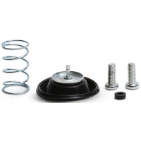 AIR CUT OFF VALVE REBUILD KIT