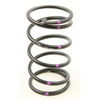 H5 DRIVEN CLUTCH SPRING BLACK/PURPLE