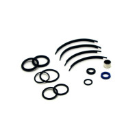 HYBRID SHOCK REBUILD KIT WALKER EVANS WITH 0.625