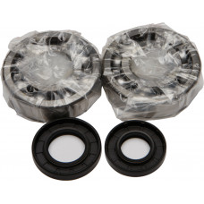 CRANKSHAFT BEARING/SEAL KIT