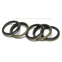 MAIN DRIVE GEAR END OIL SEAL EVO 5/PK OE#12022
