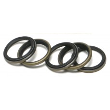 MAIN DRIVE GEAR END OIL SEAL EVO 5/PK OE#12022