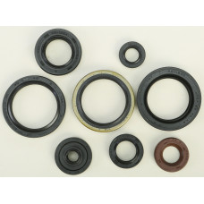 OIL SEAL SET