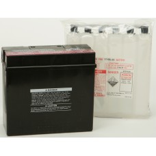 BATTERY YT19BL-BS MAINTENANCE FREE