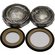 STEERING BEARING/SEAL KIT