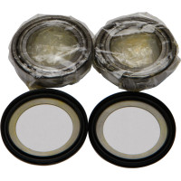 STEERING BEARING/SEAL KIT