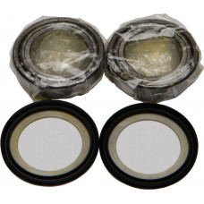 STEERING BEARING/SEAL KIT