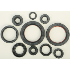 OIL SEAL SET