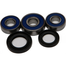 REAR WHEEL BEARING/SEAL KIT