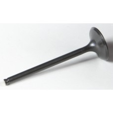 BLACK DIAMOND EXHAUST VALVE