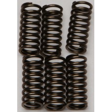 CLUTCH SPRINGS CSK144