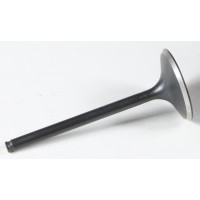 BLACK DIAMOND INTAKE VALVE