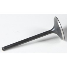 BLACK DIAMOND INTAKE VALVE