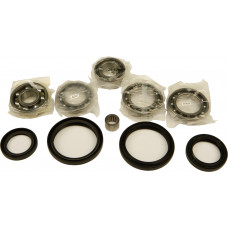 DIFFERENTIAL BEARING AND SEAL KIT