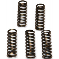 CLUTCH SPRINGS CSK112