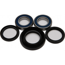 WHEEL BEARING & SEAL KIT