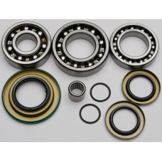 DIFFERENTIAL BEARING AND SEAL KIT