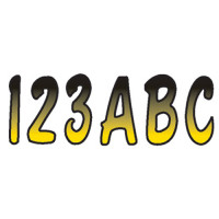 SERIES 200 REGISTRATION KIT (YELLOW/BLACK)