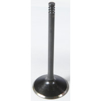 BLACK DIAMOND INTAKE VALVE 2004-14 XL1200